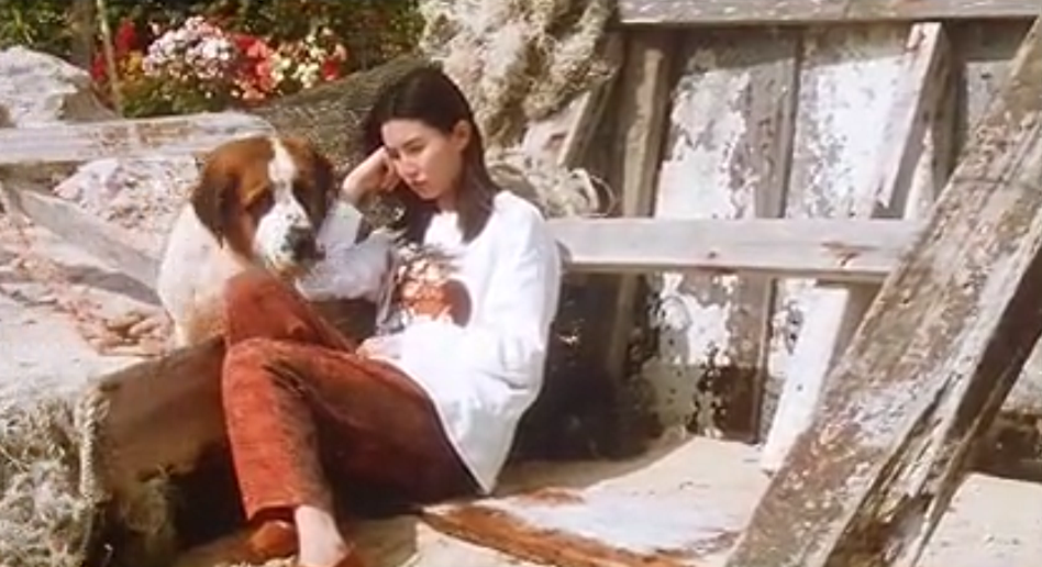 双城故事剧照的剧照