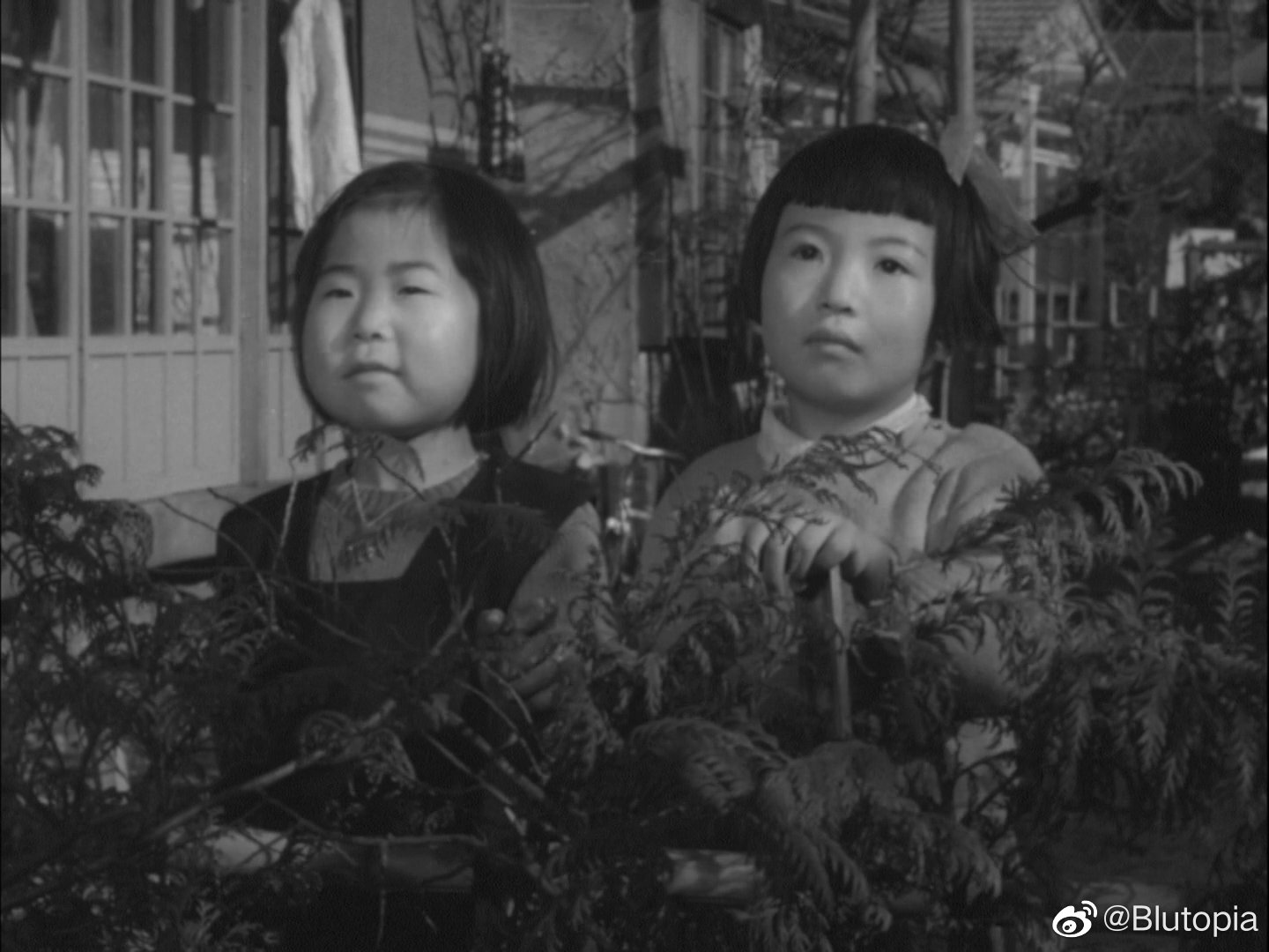 骤雨剧照的剧照