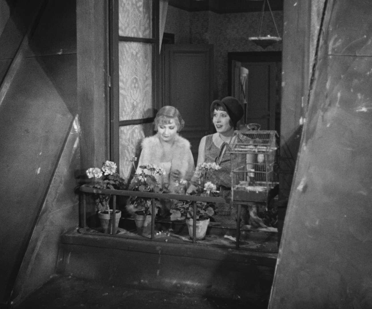 母狗剧照的剧照