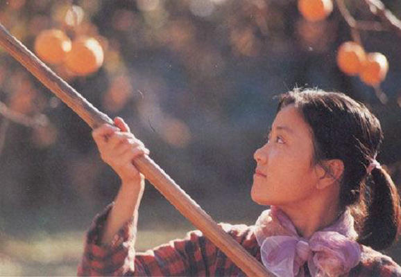 哦，香雪剧照的剧照