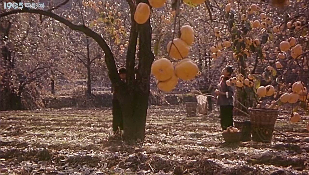 哦，香雪剧照的剧照