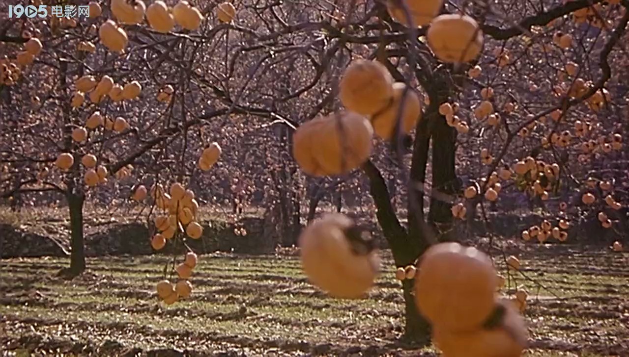 哦，香雪剧照的剧照