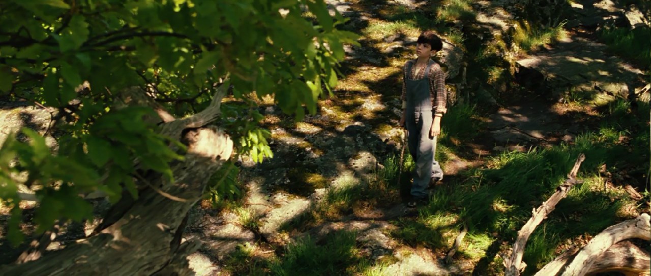 橡树男孩剧照的剧照