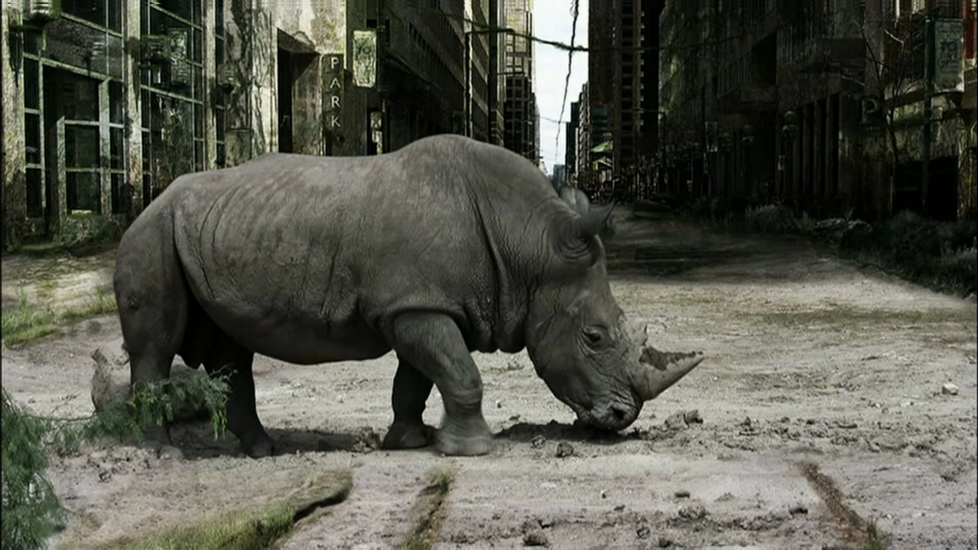 人类消失后的世界剧照的剧照