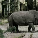 人类消失后的世界剧照