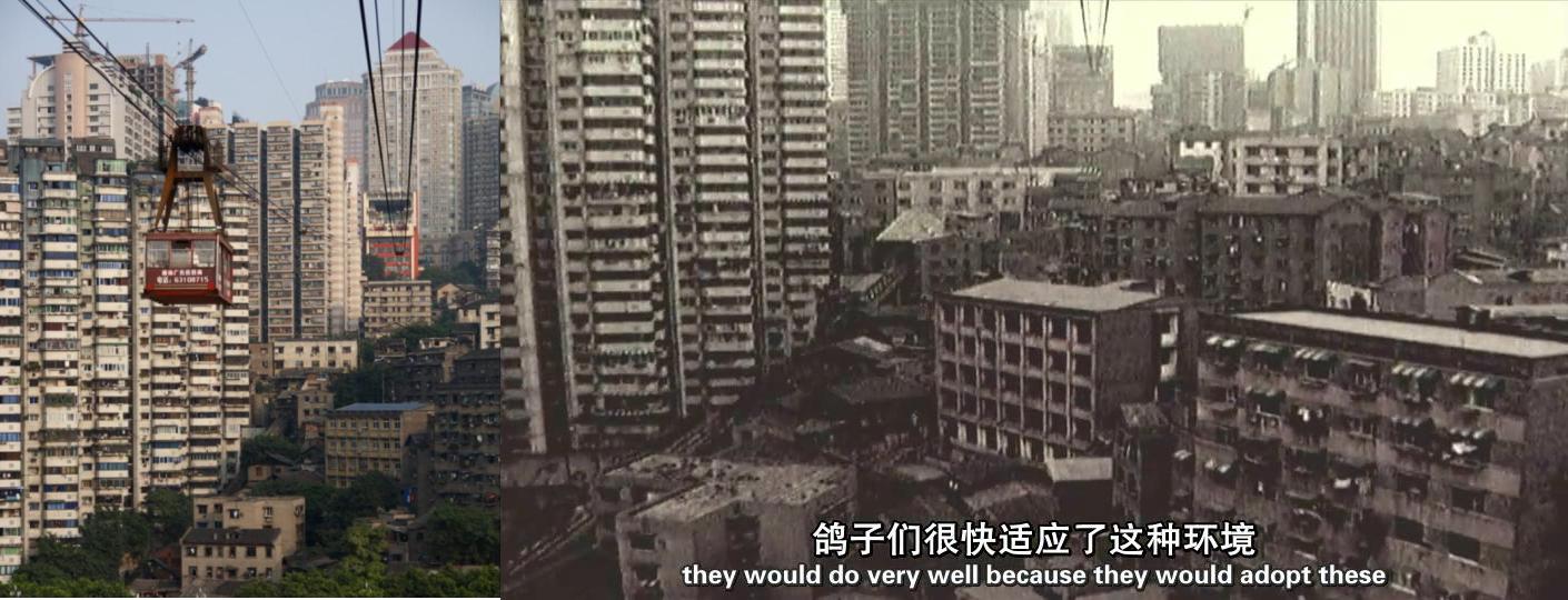 人类消失后的世界剧照的剧照