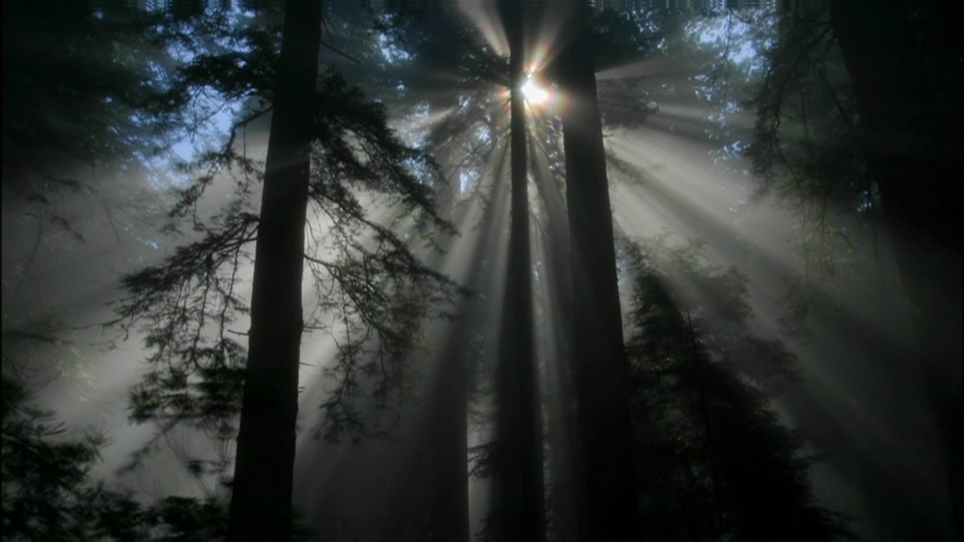 人类消失后的世界剧照的剧照