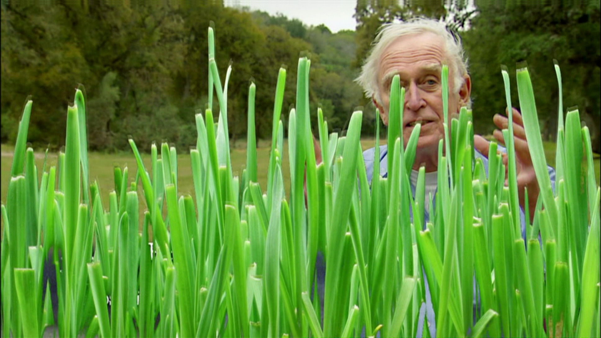 人类消失后的世界剧照的剧照