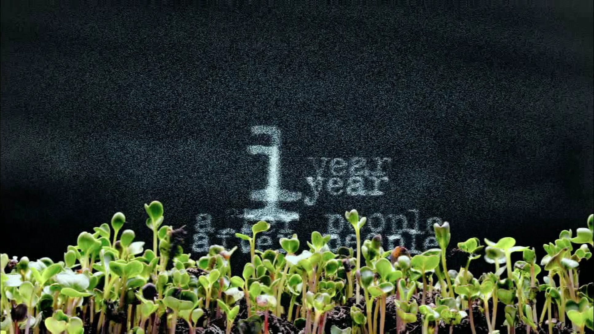 人类消失后的世界剧照的剧照