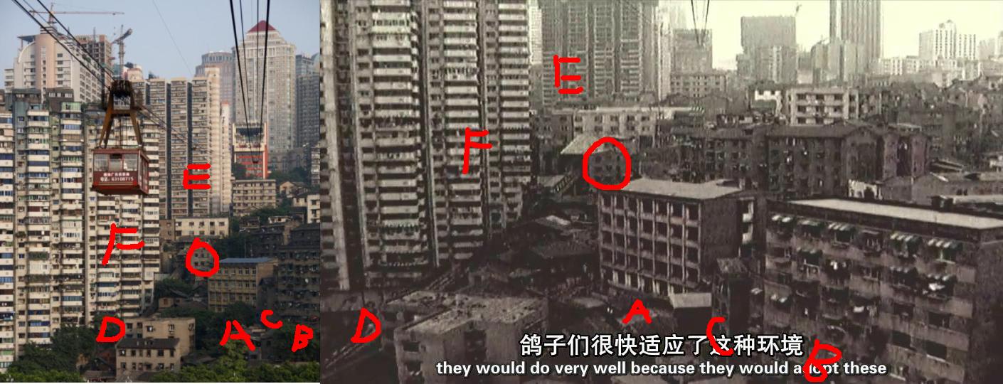 人类消失后的世界剧照的剧照