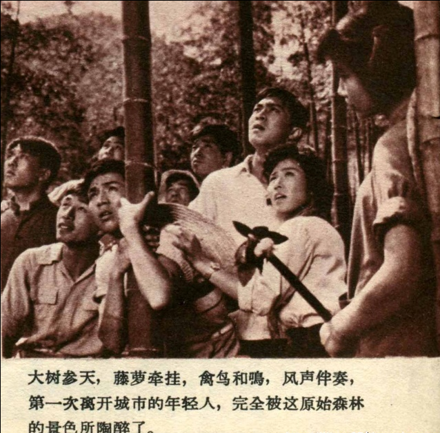 青山恋剧照的剧照