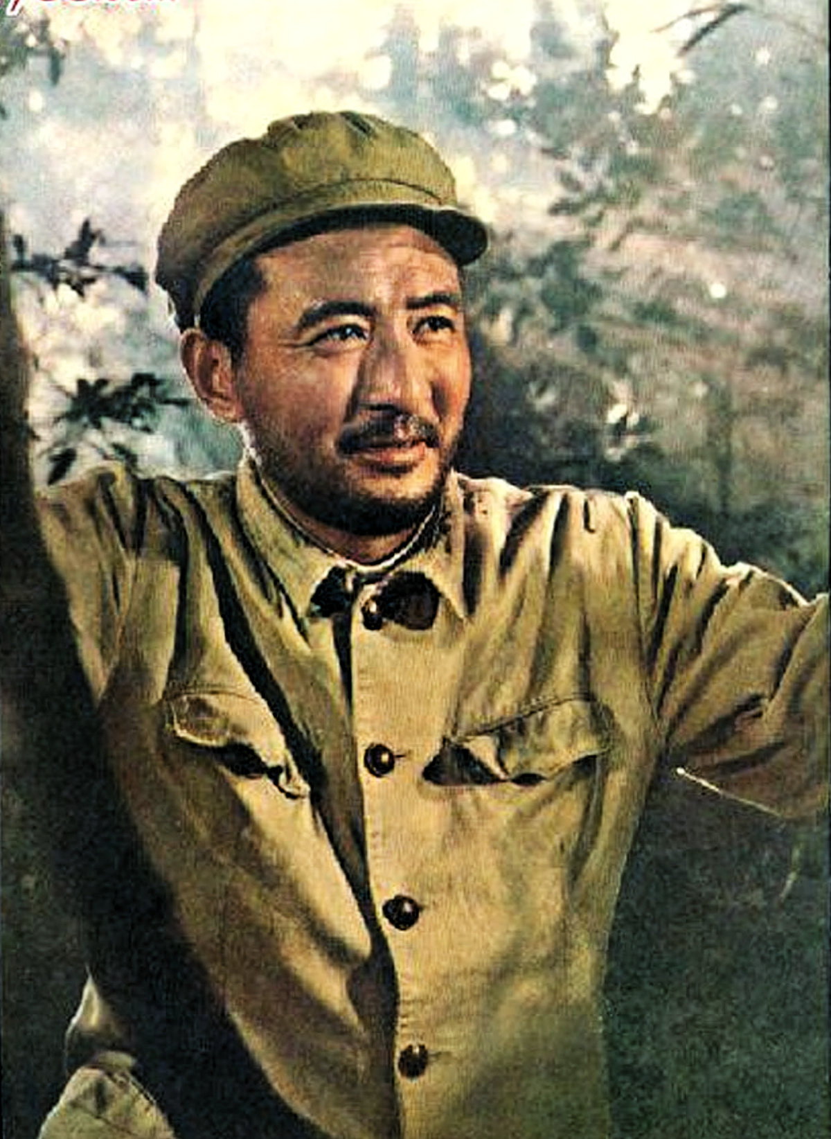 青山恋剧照的剧照