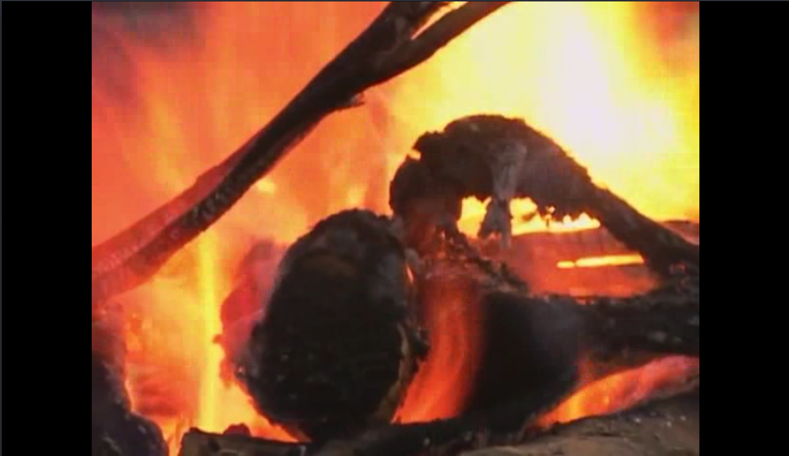 火葬场的孩子剧照的剧照