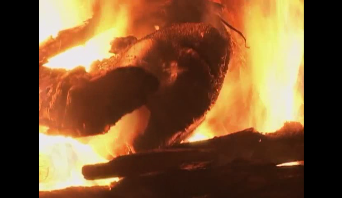 火葬场的孩子剧照的剧照