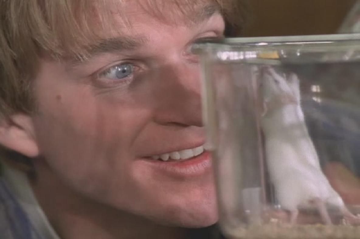 献给阿尔吉侬的花束剧照的剧照