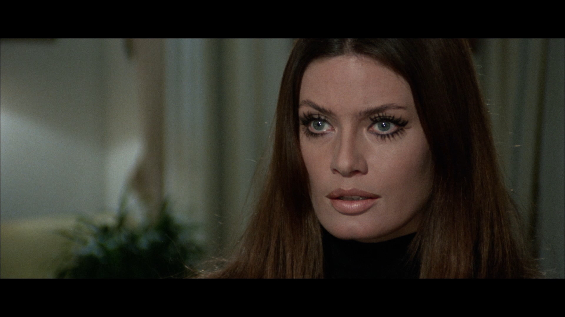 喋血七兰花剧照的剧照