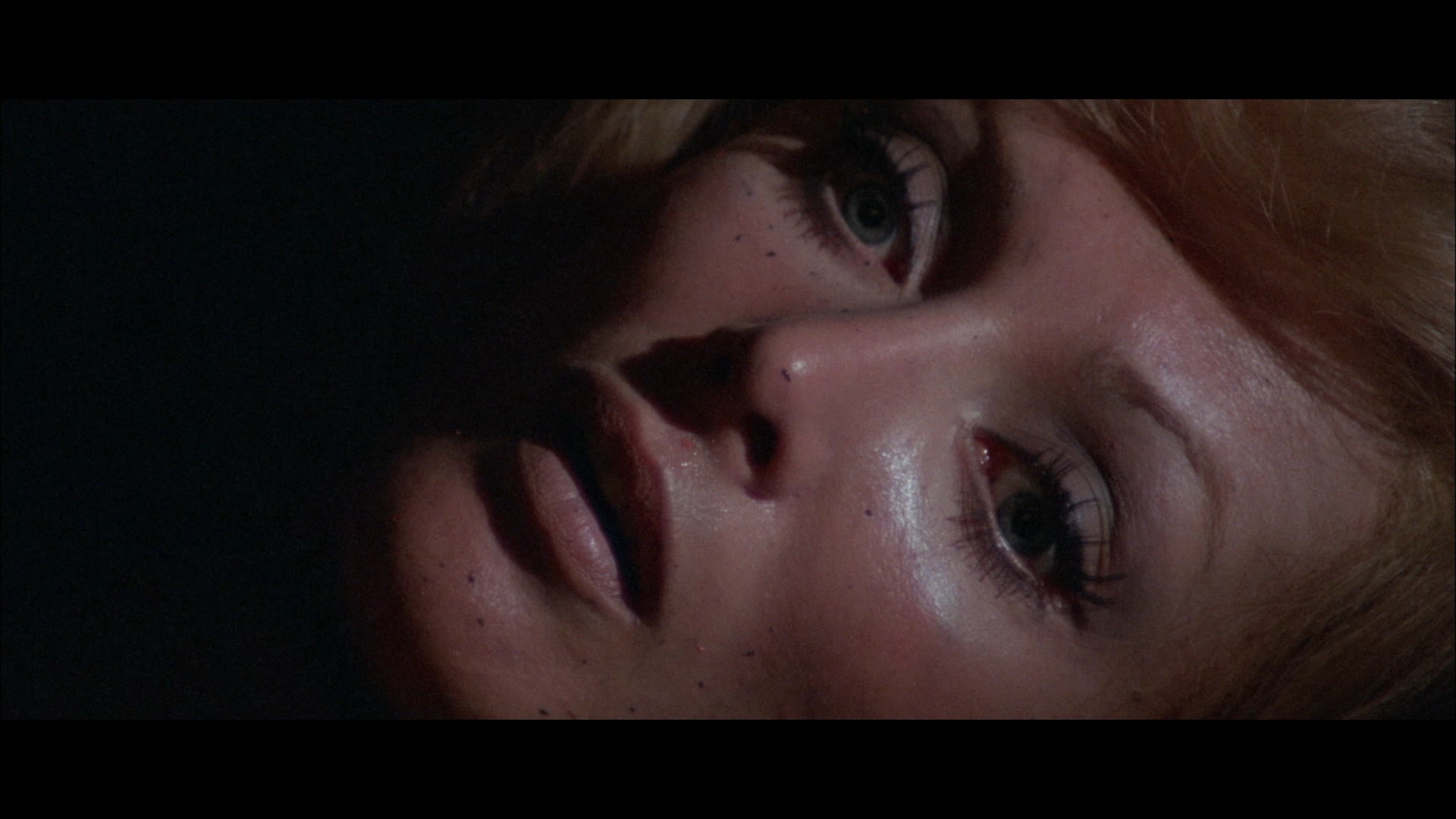 喋血七兰花剧照的剧照