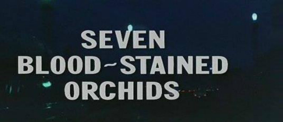 喋血七兰花剧照的剧照