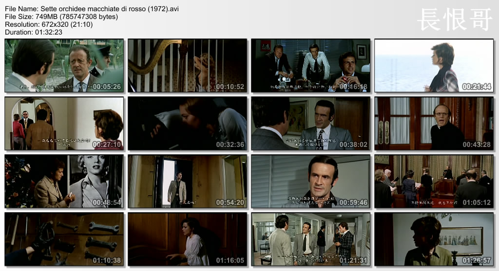 喋血七兰花剧照的剧照