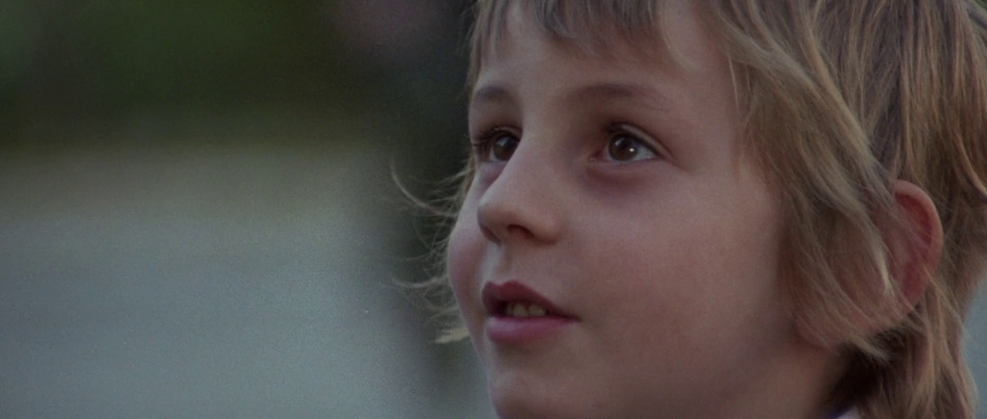 喋血七兰花剧照的剧照