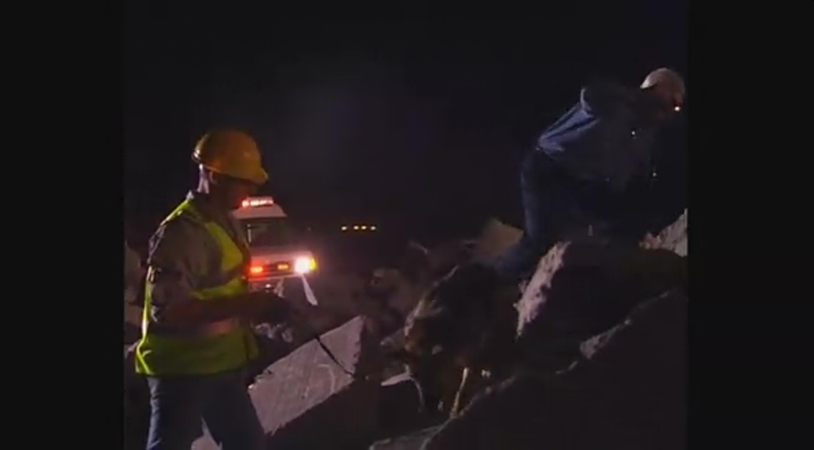 结晶艳舞剧照的剧照