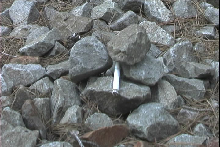 再见，由美香剧照的剧照