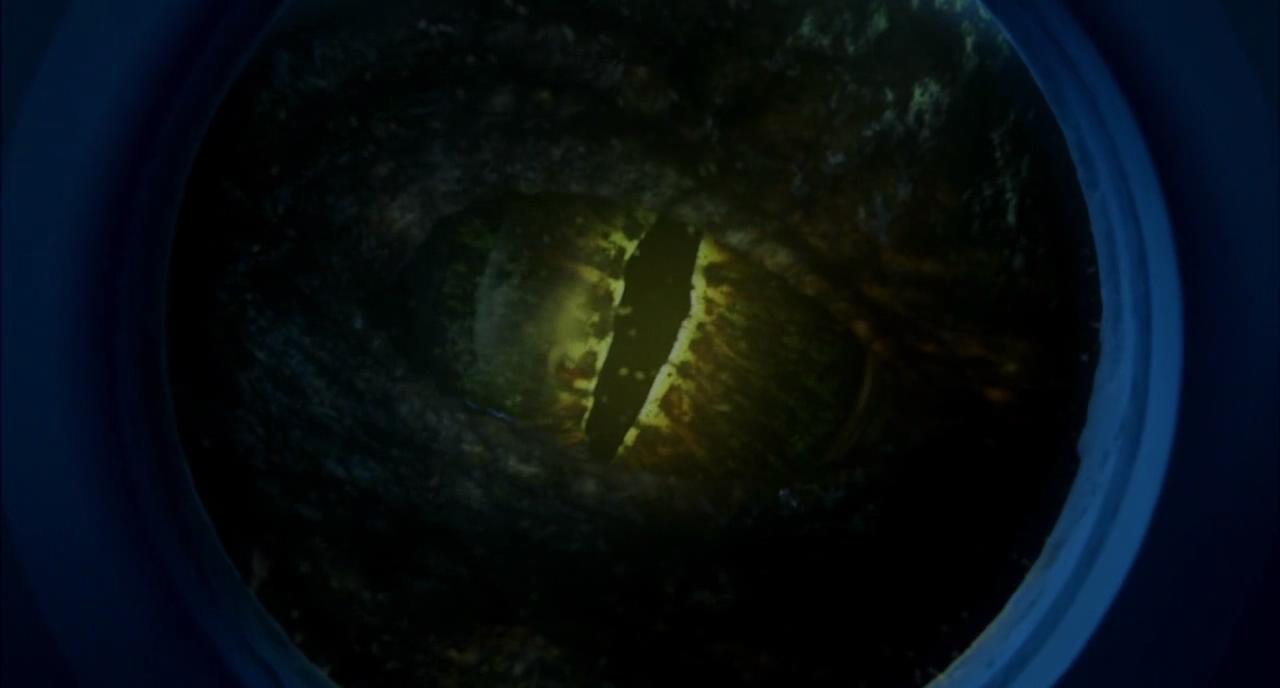 史前巨鳄遗产剧照的剧照