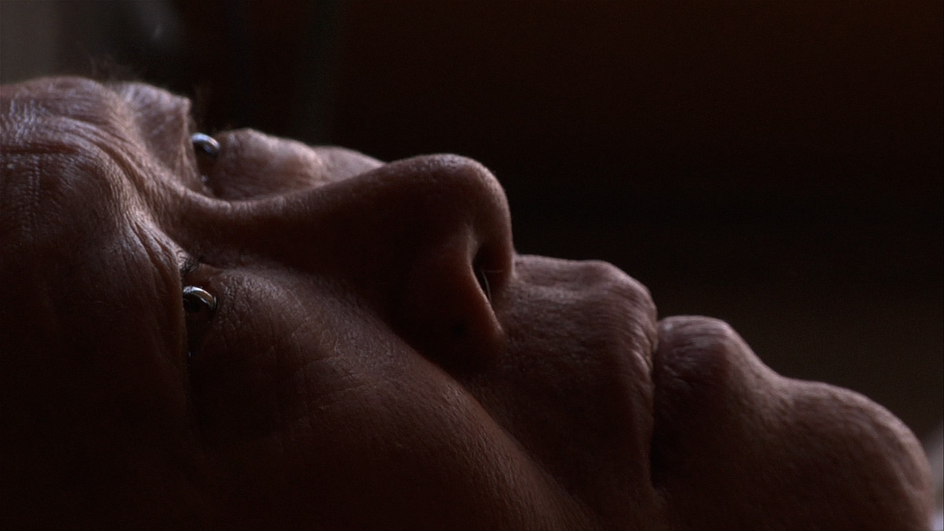 你的白天是我的黑夜剧照的剧照