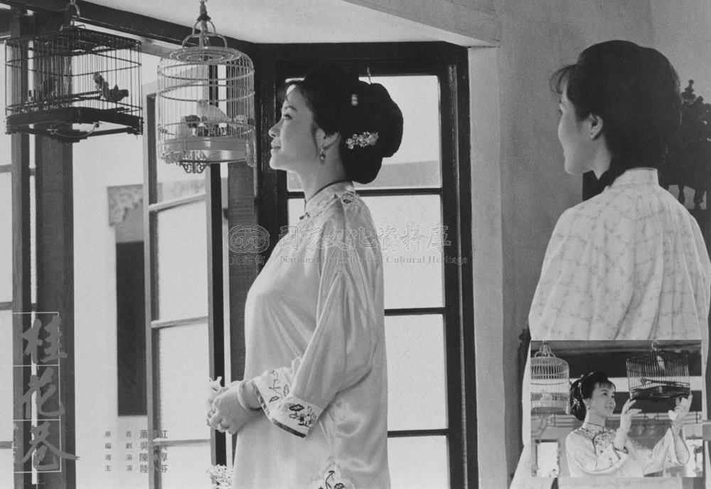 桂花巷剧照的剧照