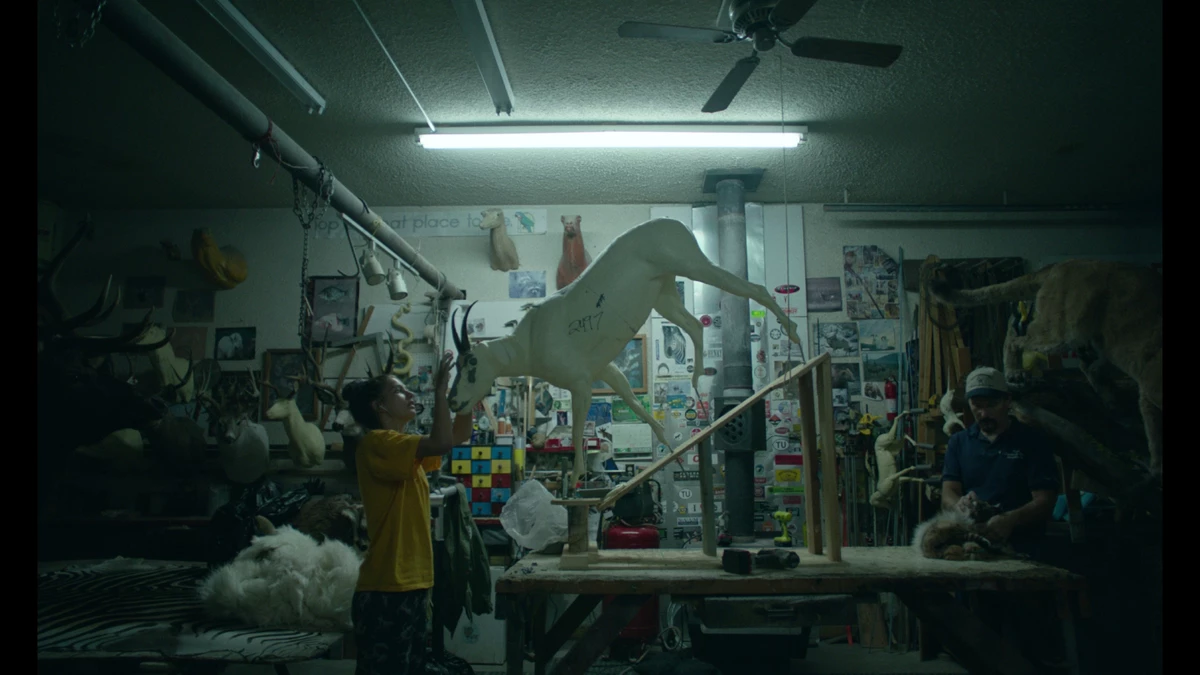 米奇和熊剧照的剧照