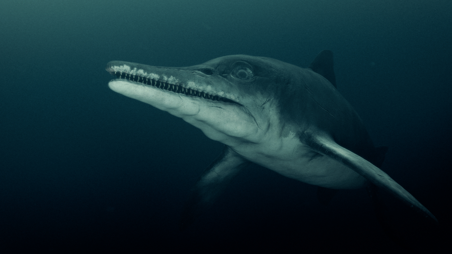 爱登堡爵士和海龙剧照的剧照