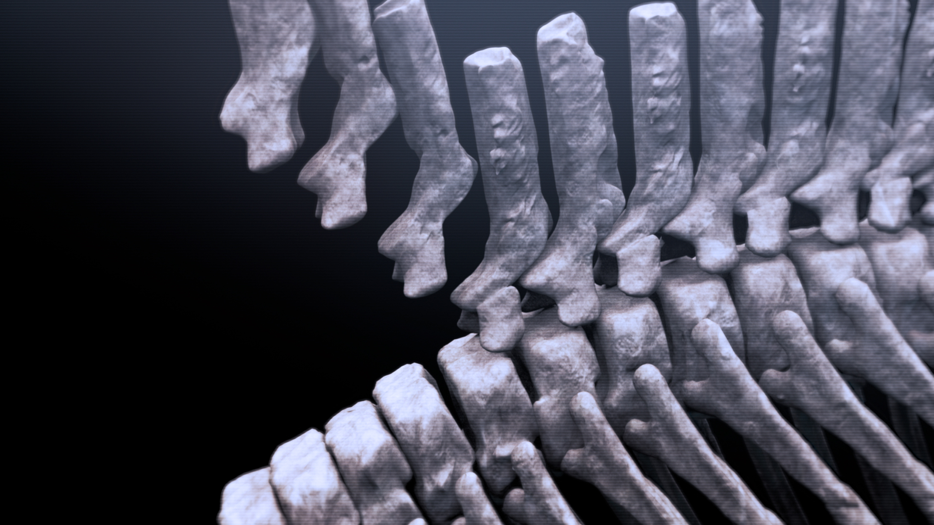 爱登堡爵士和海龙剧照的剧照