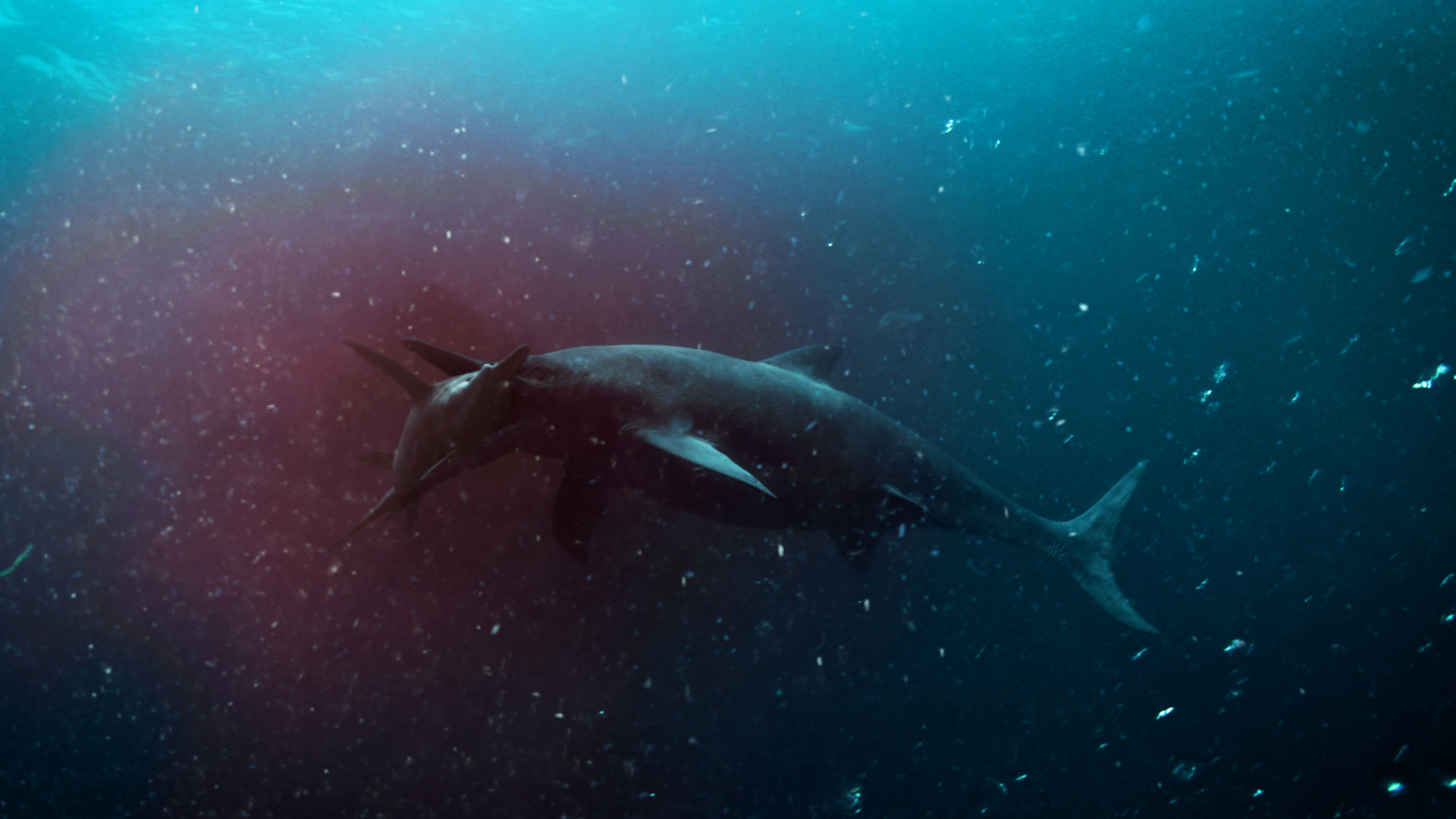 爱登堡爵士和海龙剧照的剧照