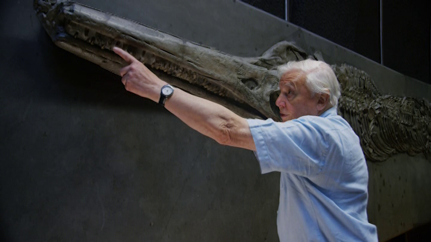 爱登堡爵士和海龙剧照的剧照