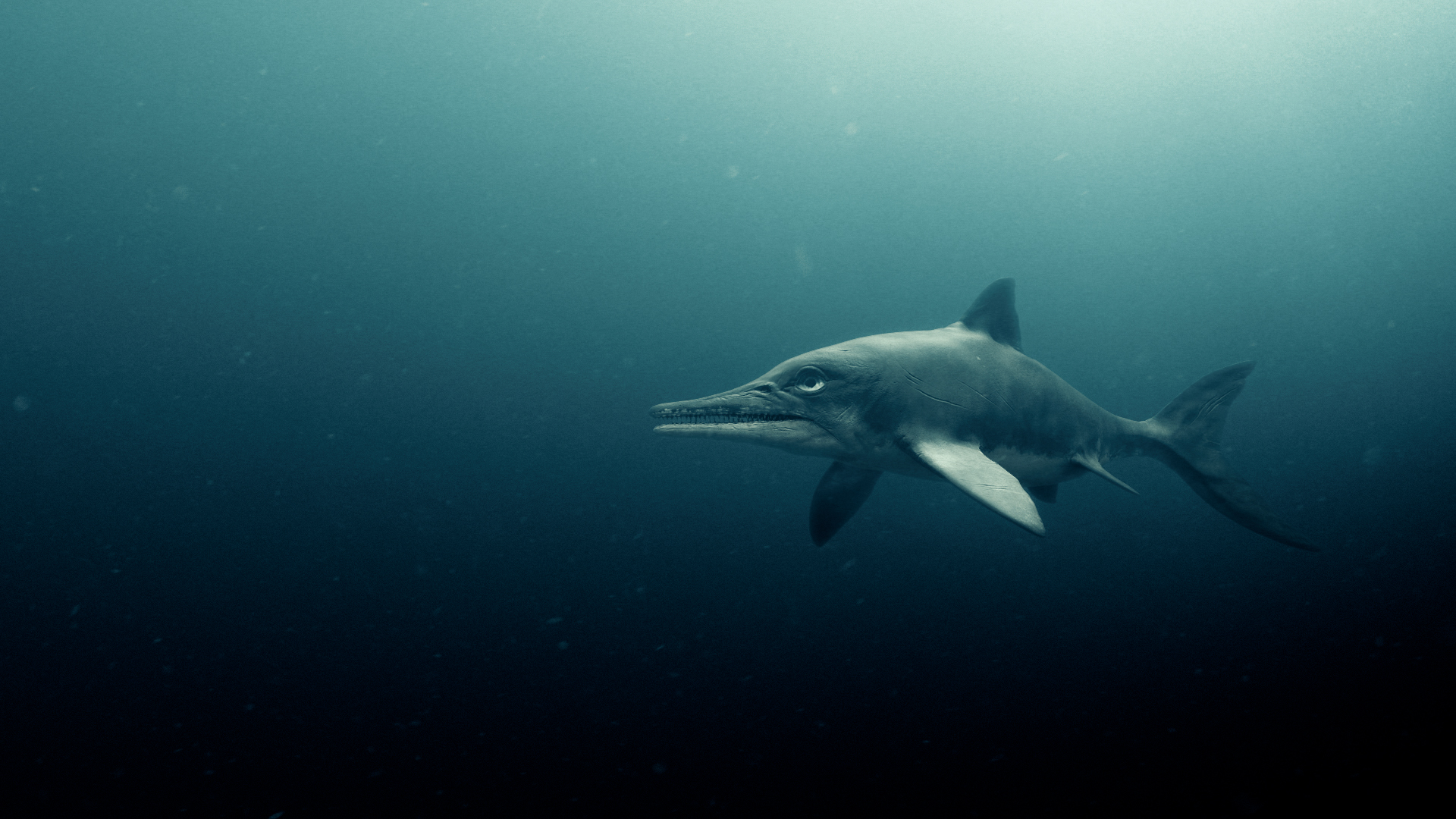 爱登堡爵士和海龙剧照的剧照