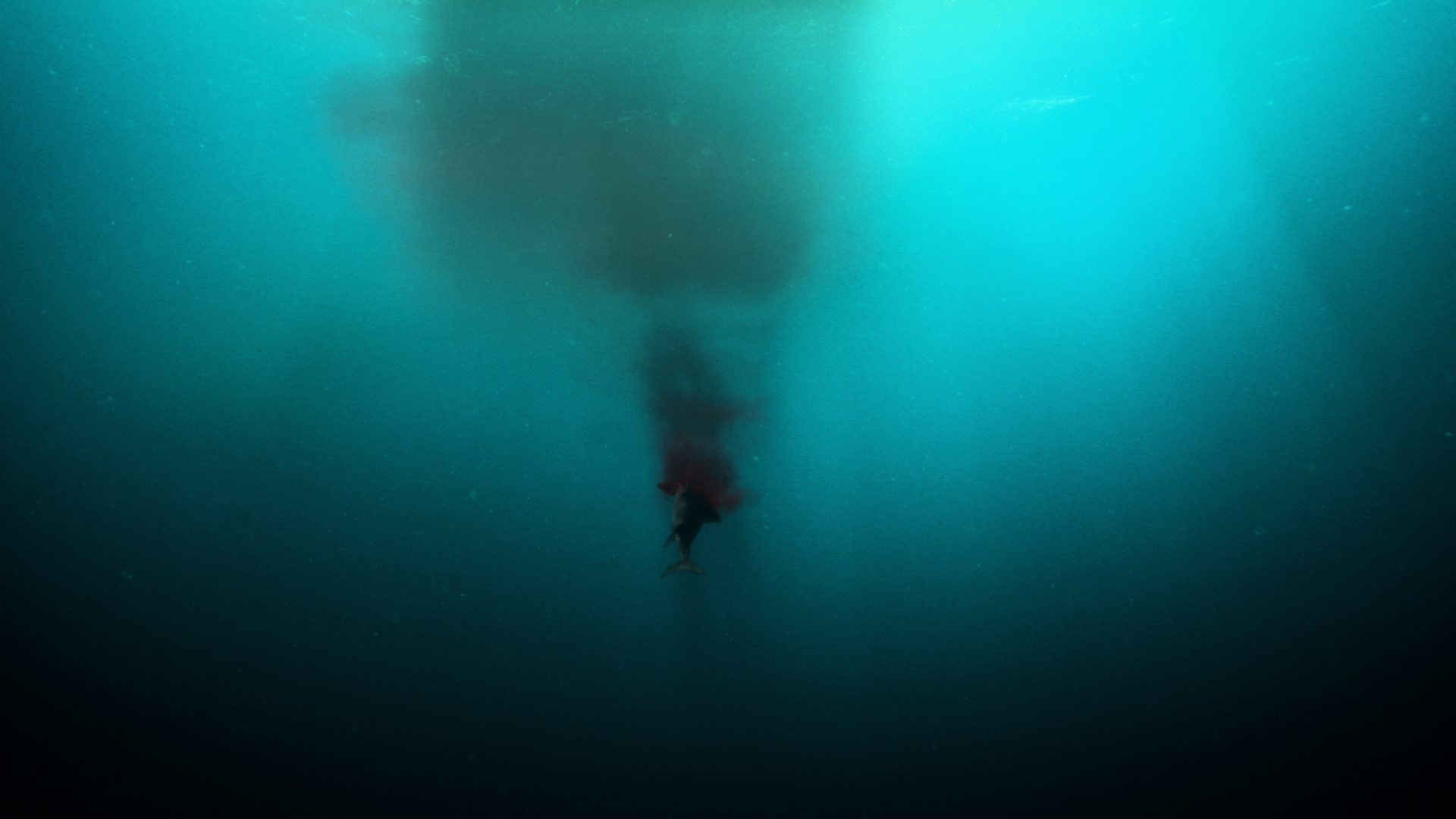 爱登堡爵士和海龙剧照的剧照