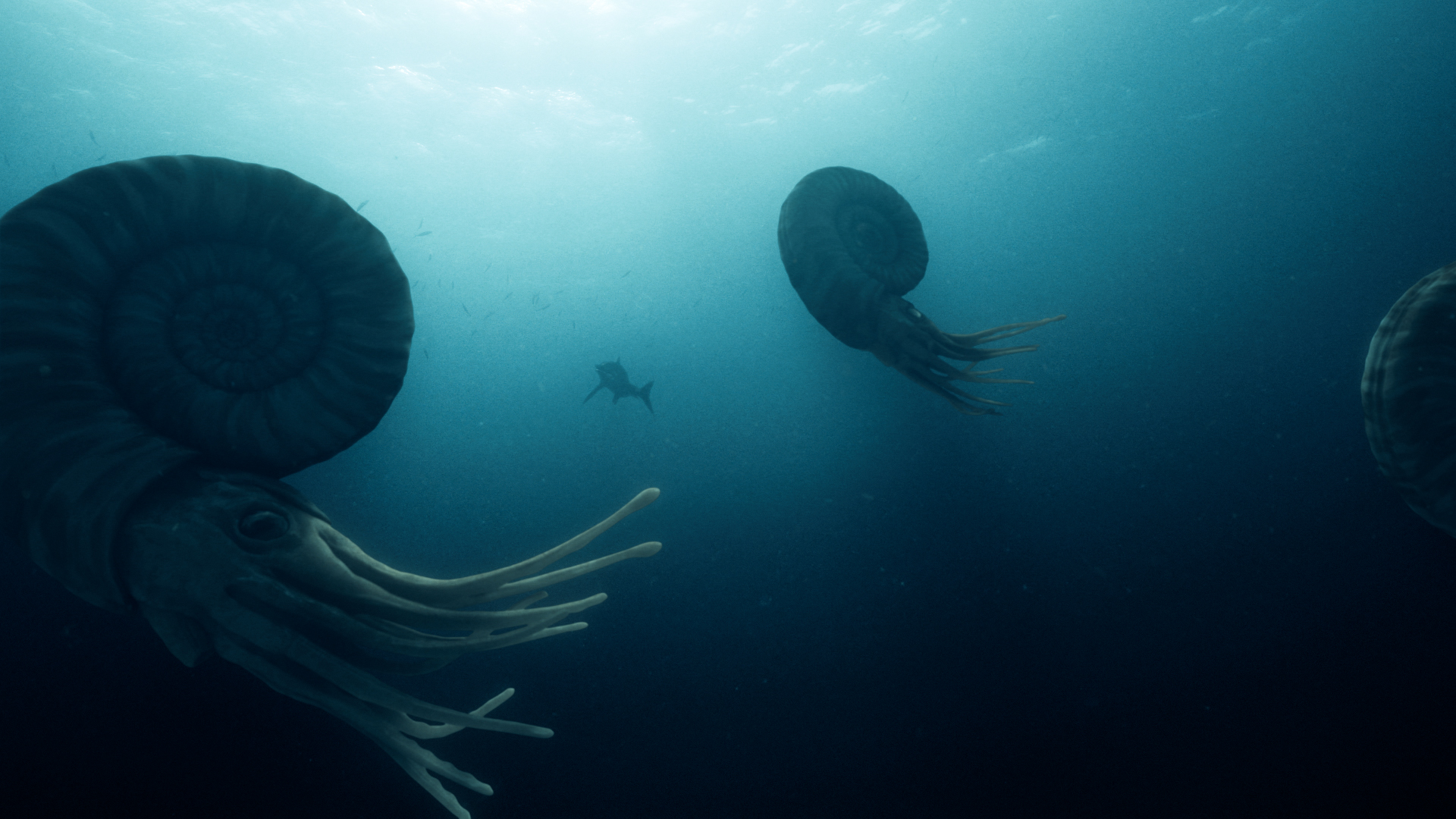 爱登堡爵士和海龙剧照的剧照