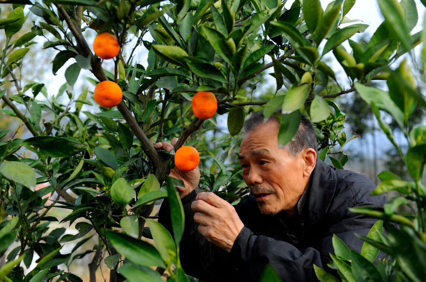 桔子的天空剧照的剧照