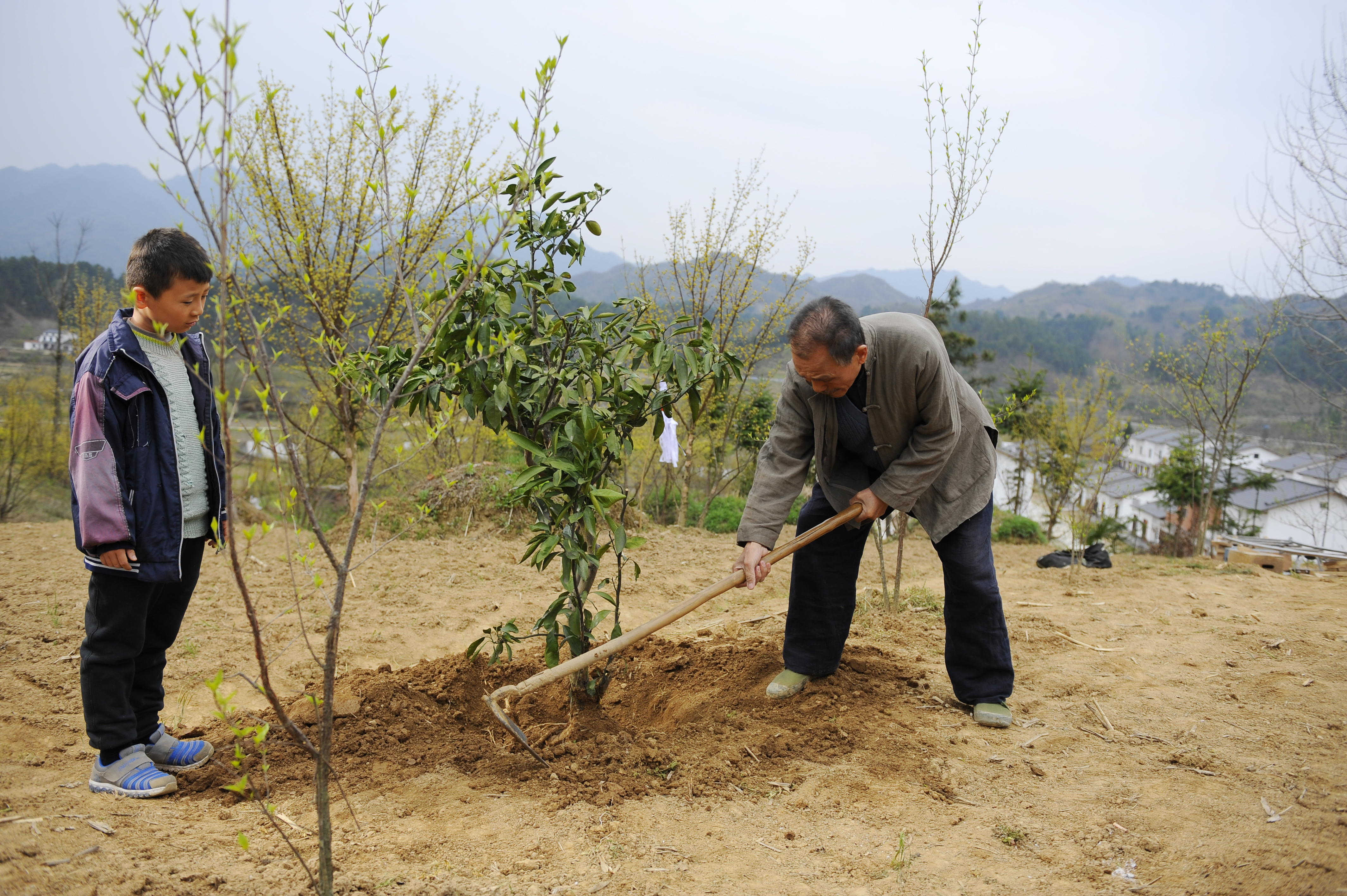 桔子的天空剧照的剧照
