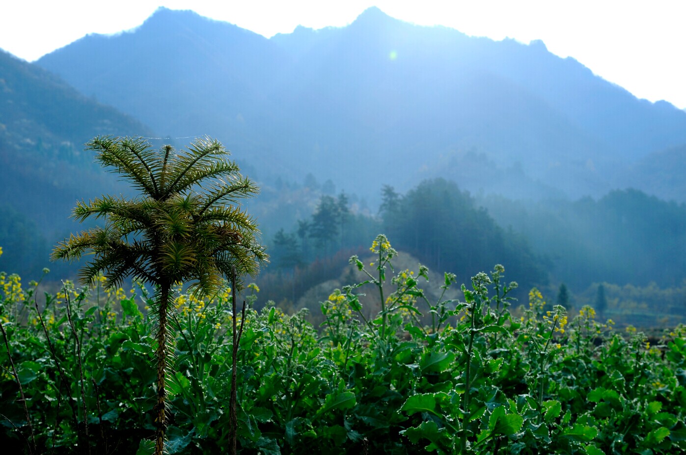 桔子的天空剧照的剧照