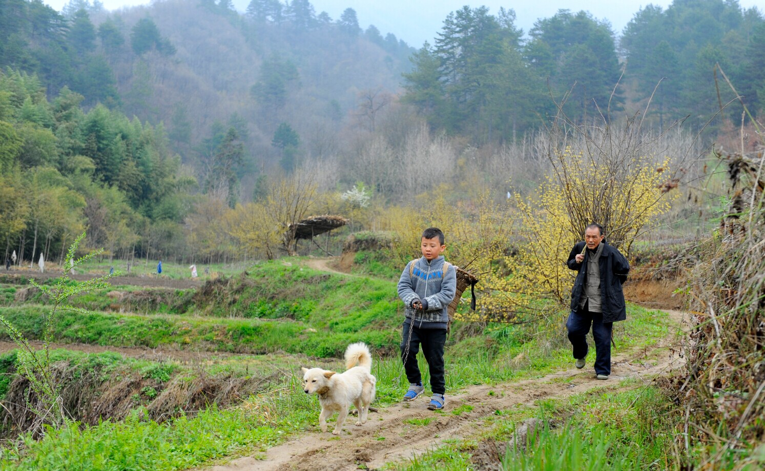桔子的天空剧照的剧照
