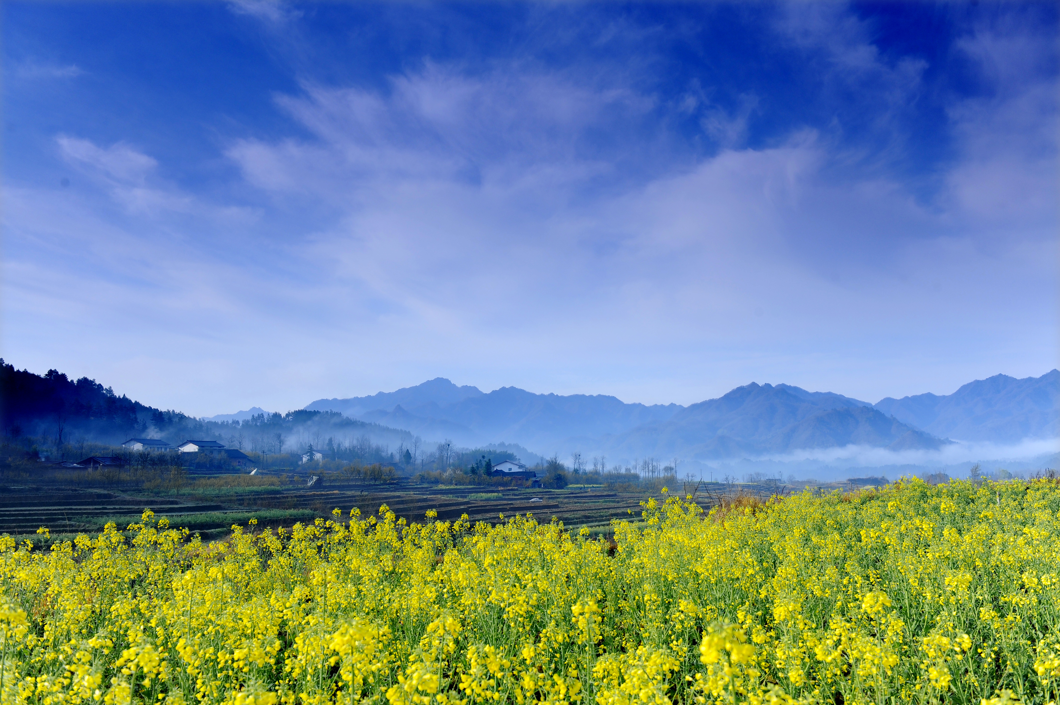 桔子的天空剧照的剧照