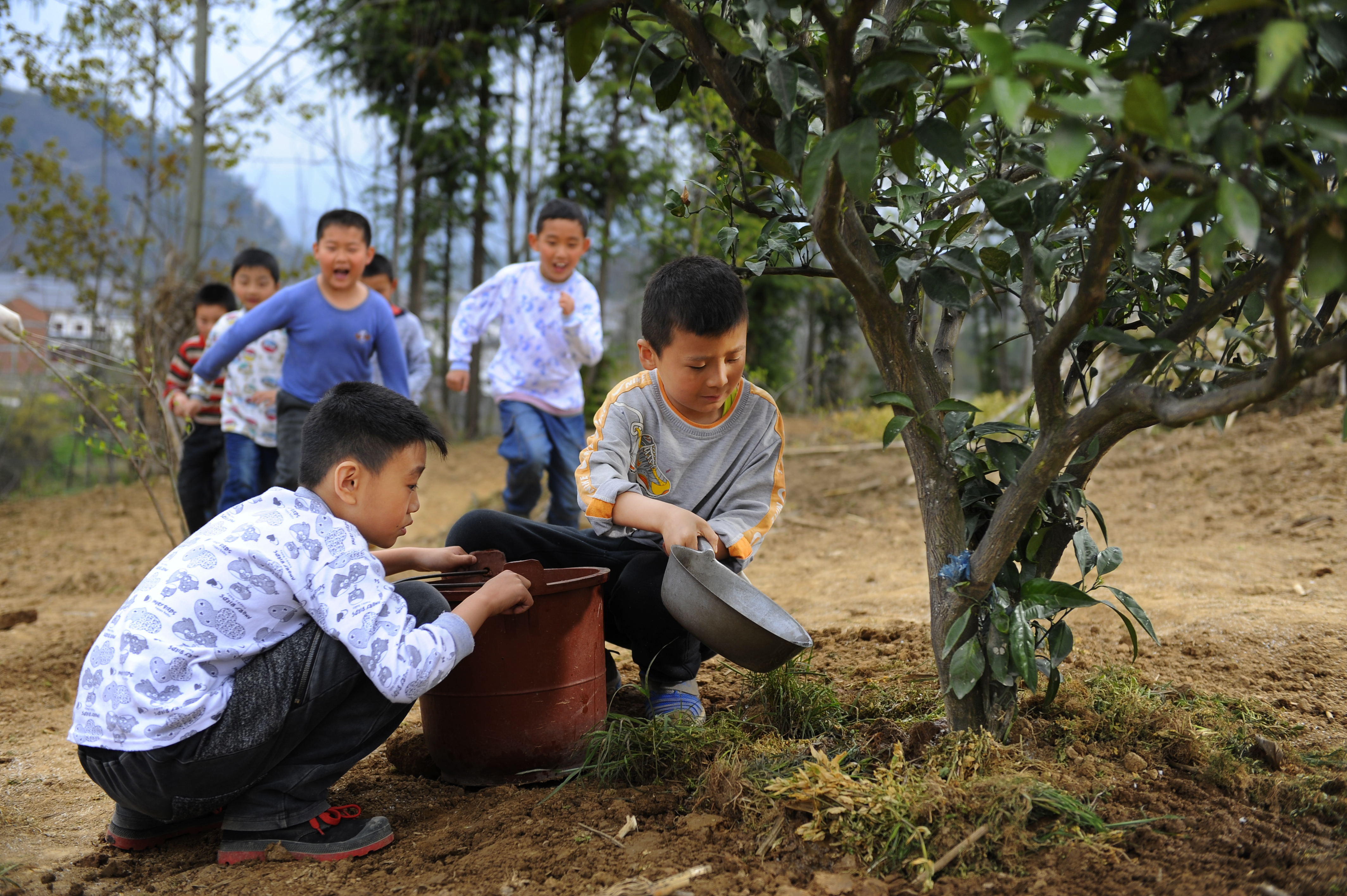 桔子的天空剧照的剧照