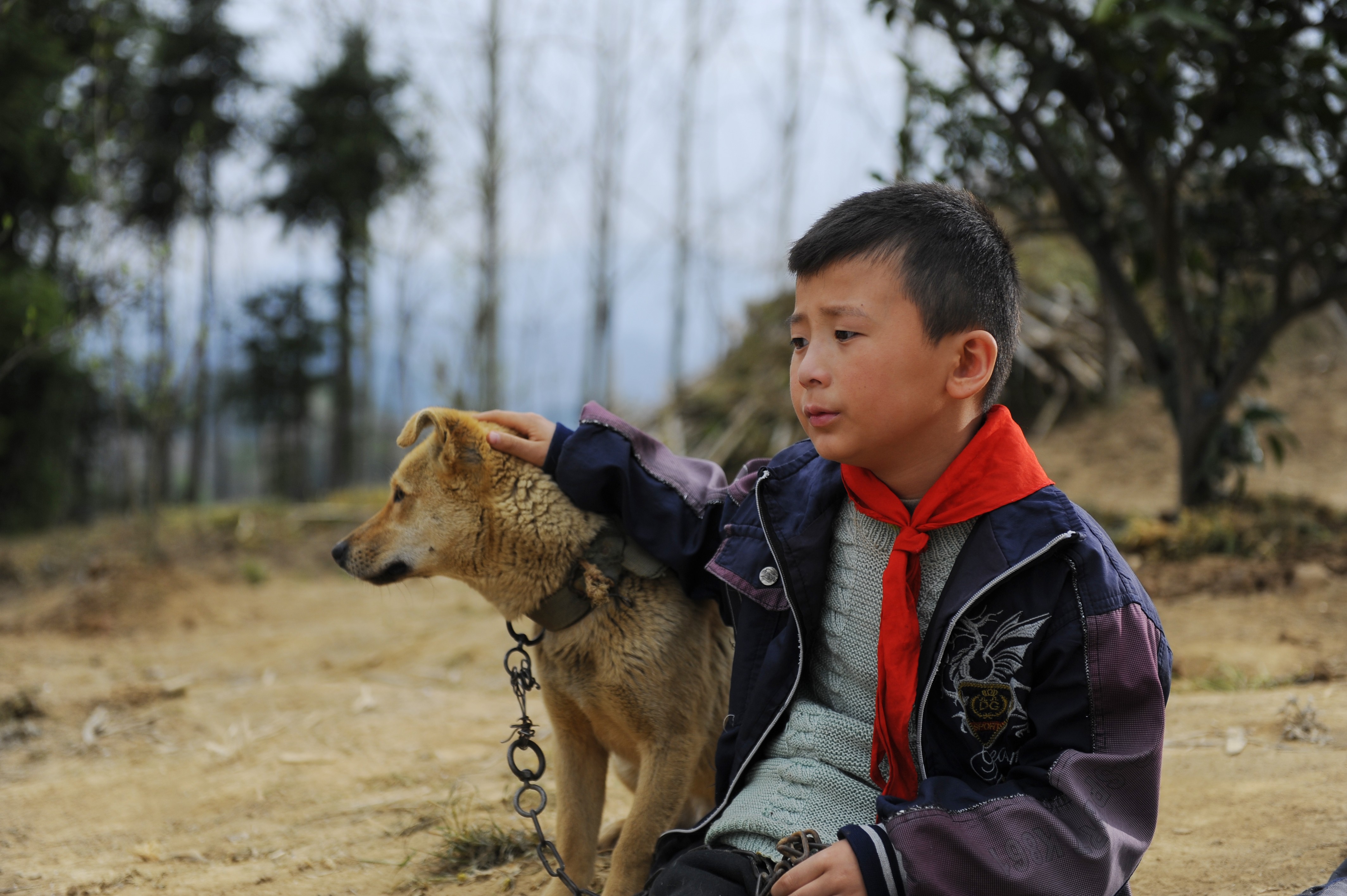 桔子的天空剧照的剧照