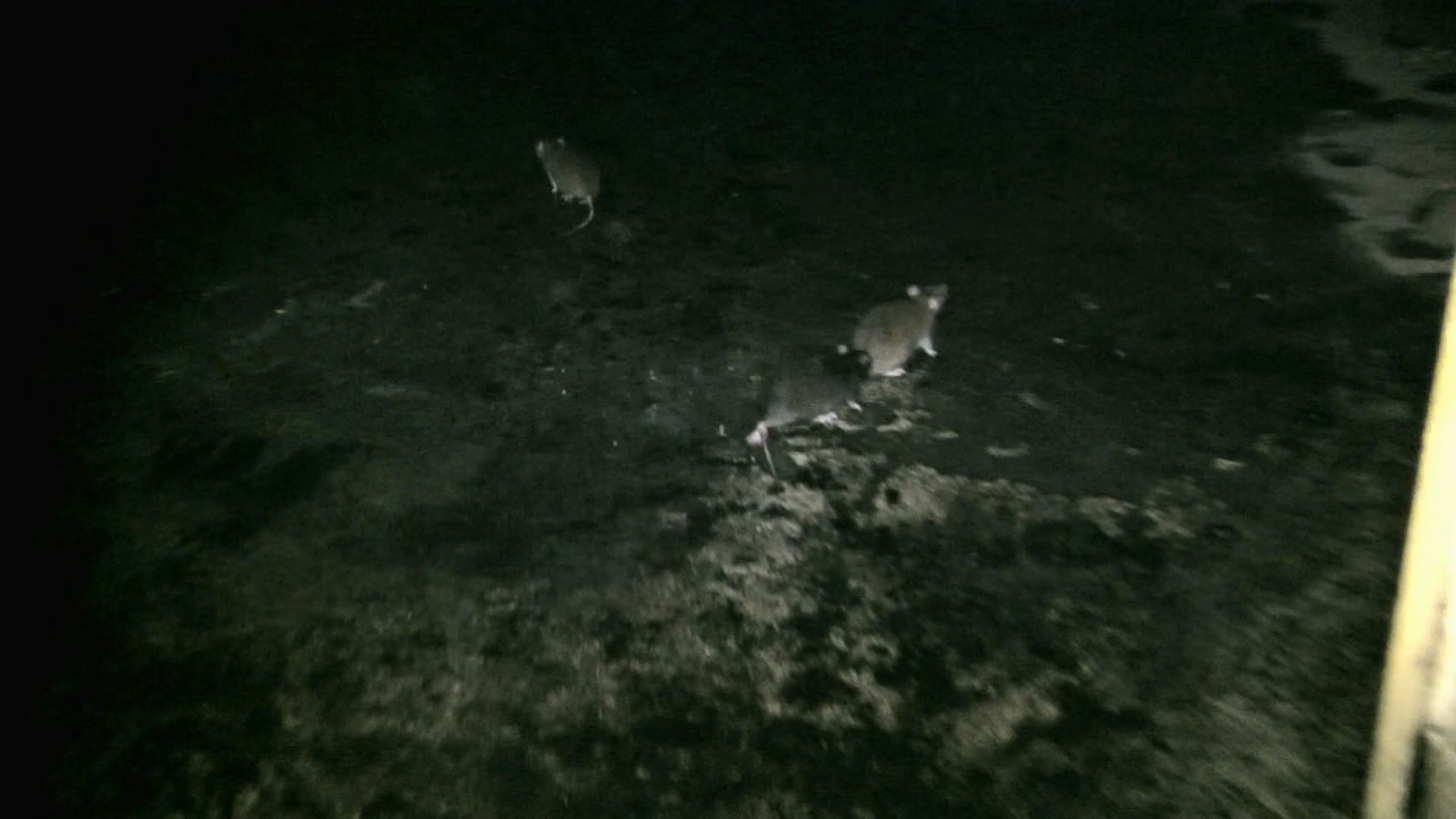 墓地邂逅剧照的剧照