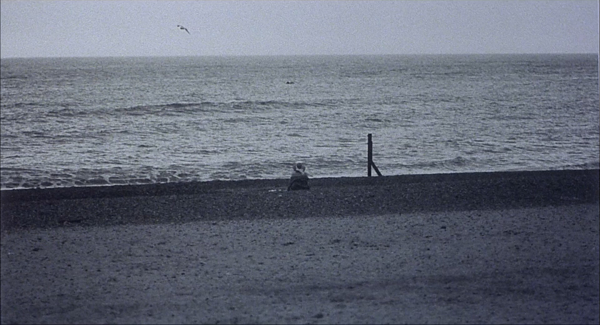 长路将尽剧照的剧照