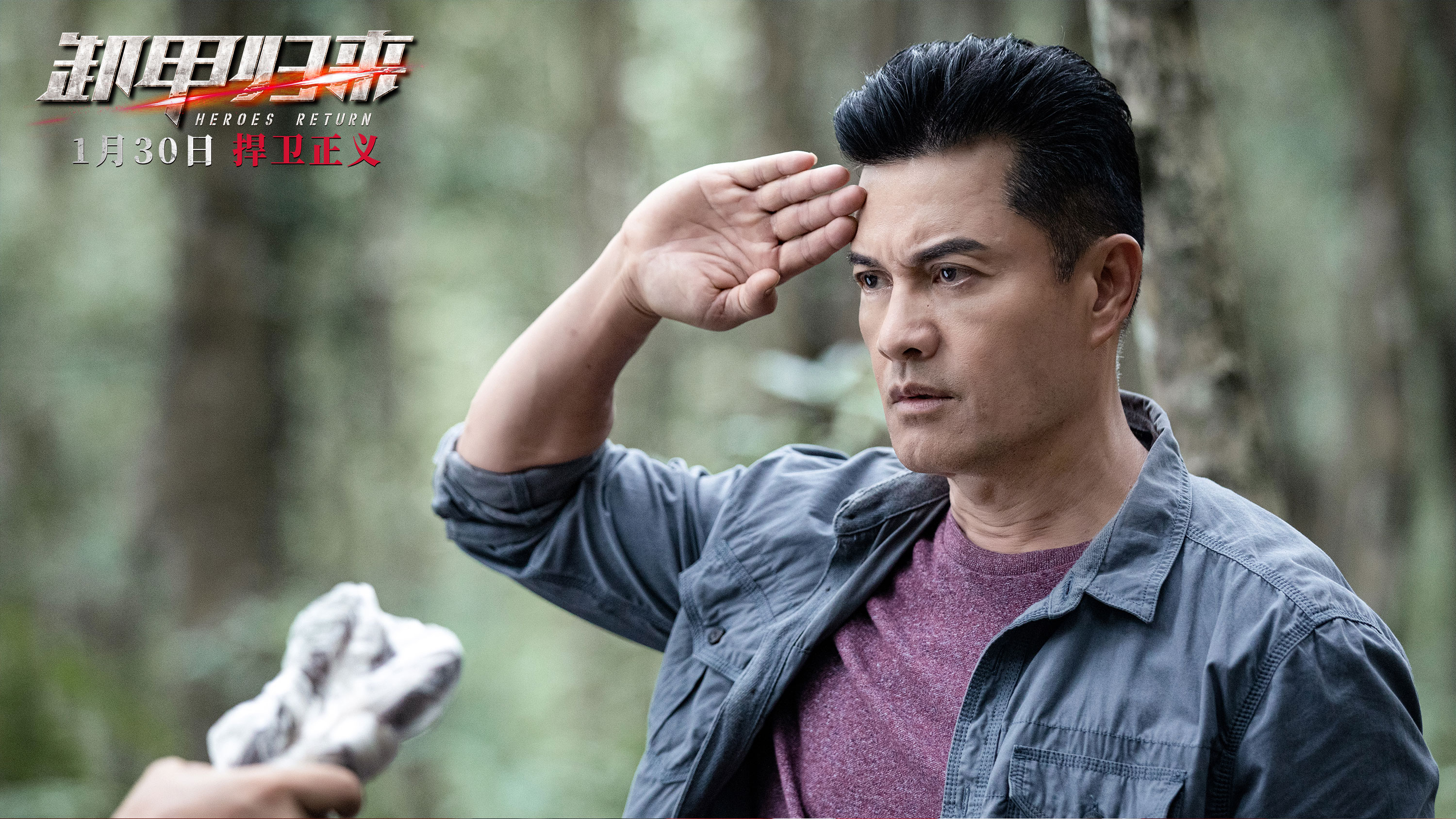 卸甲归来剧照的剧照