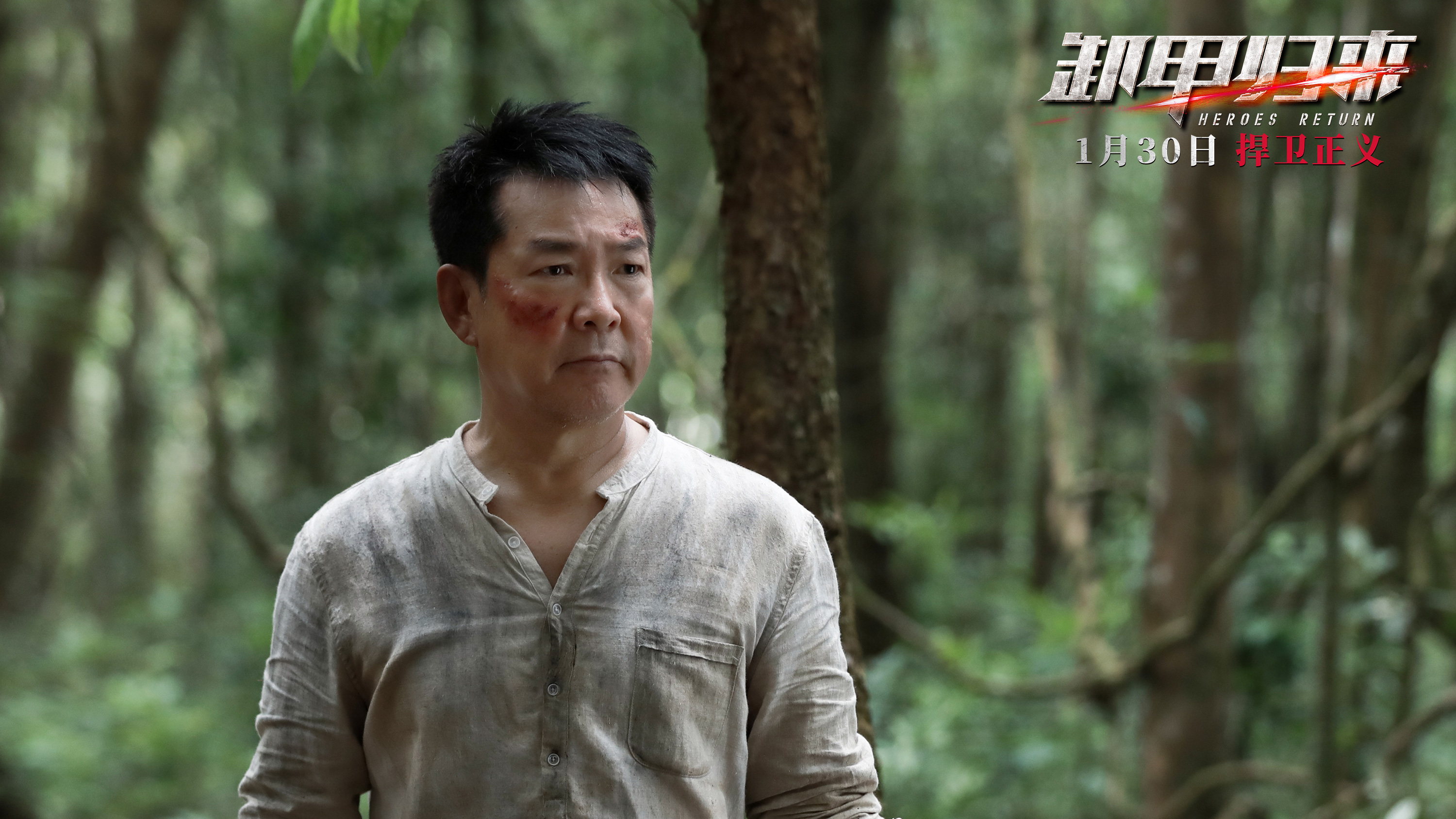 卸甲归来剧照的剧照