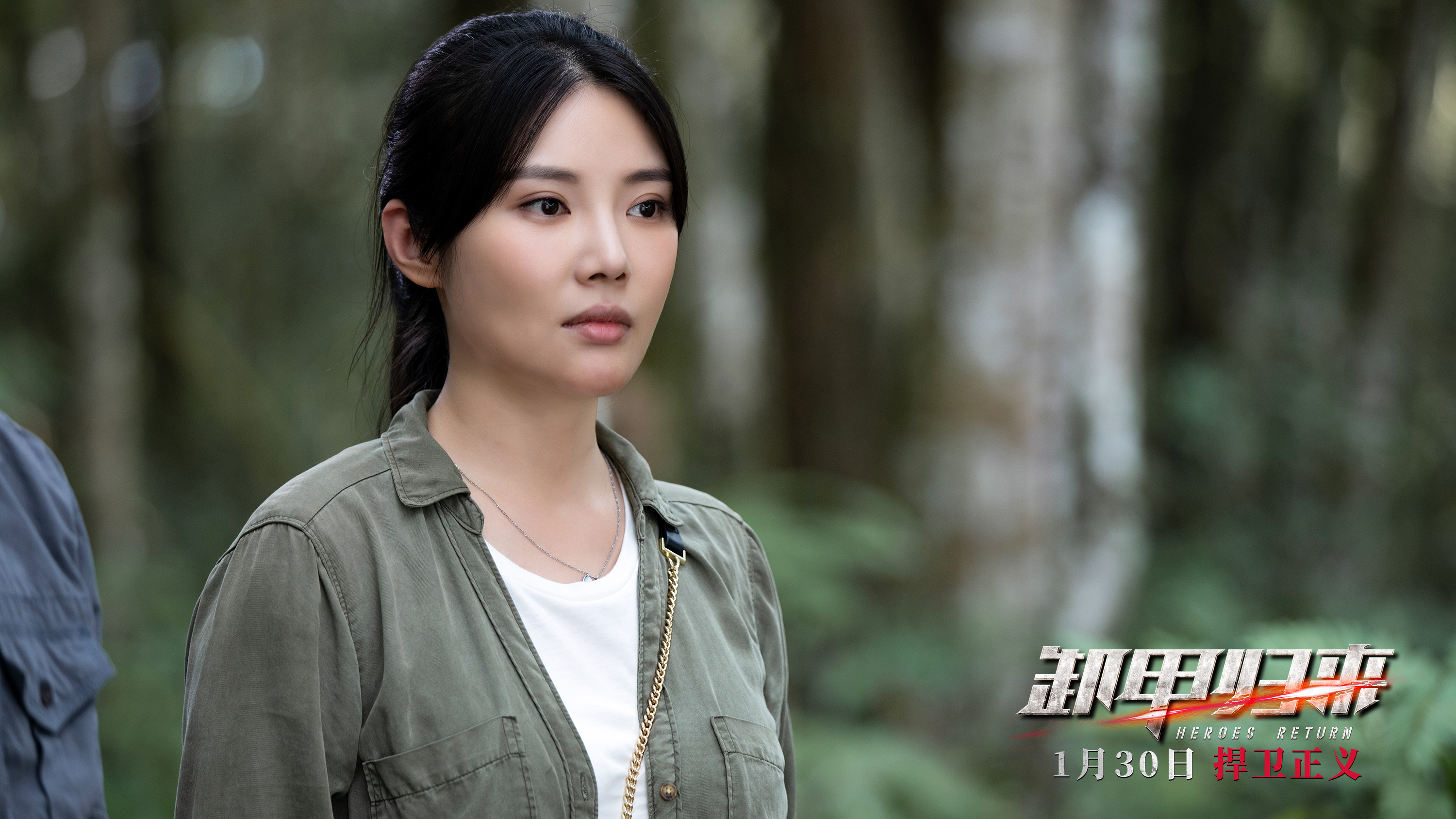 卸甲归来剧照的剧照