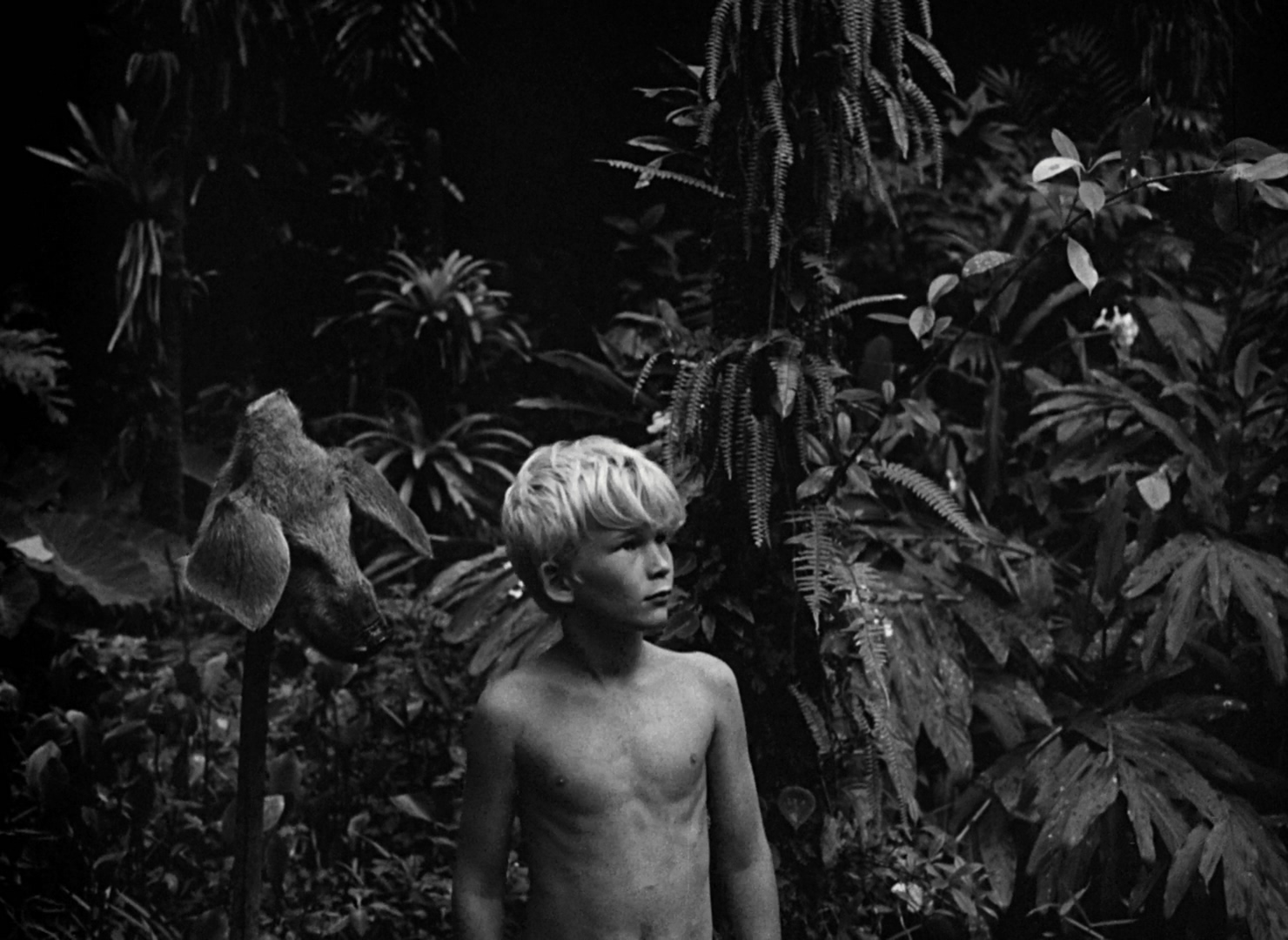 蝇王剧照的剧照